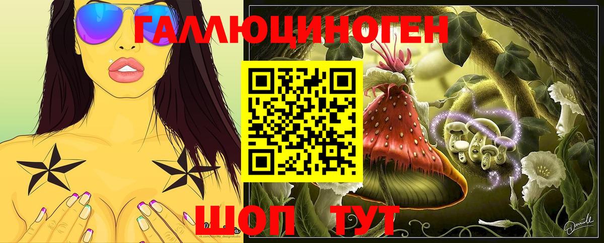 Псилоцибиновые грибы Psilocybe  Псилоцибиновые грибы GOLDEN TEACHER  Вход с VPN  Дербент 